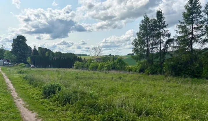 Działka rolno-budowlana Sapuny, Sapuny