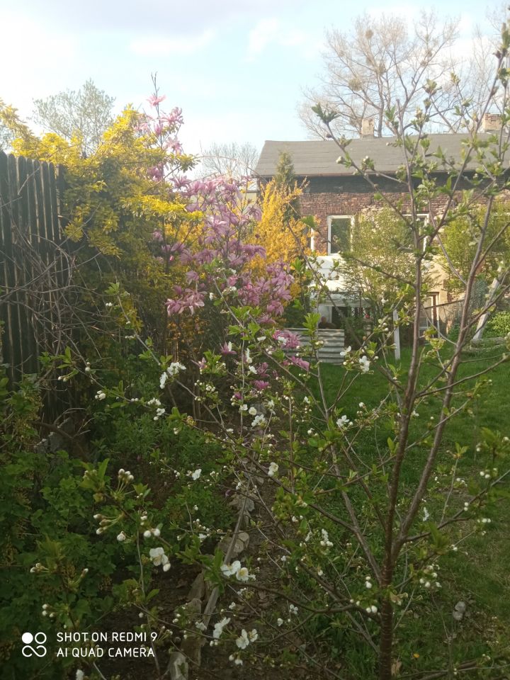 kamienica, 11 pokoi Czeladź Kolonia Rożka, ul. Stanisława Staszica. Zdjęcie 7