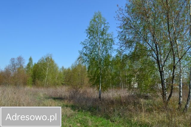 Działka budowlana Wieliszew, ul. Magnacka