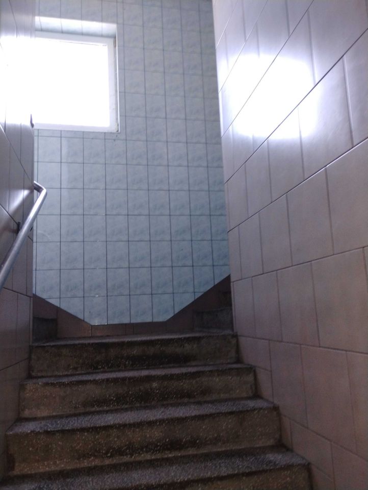 Hala/magazyn Zbiersk. Zdjęcie 2