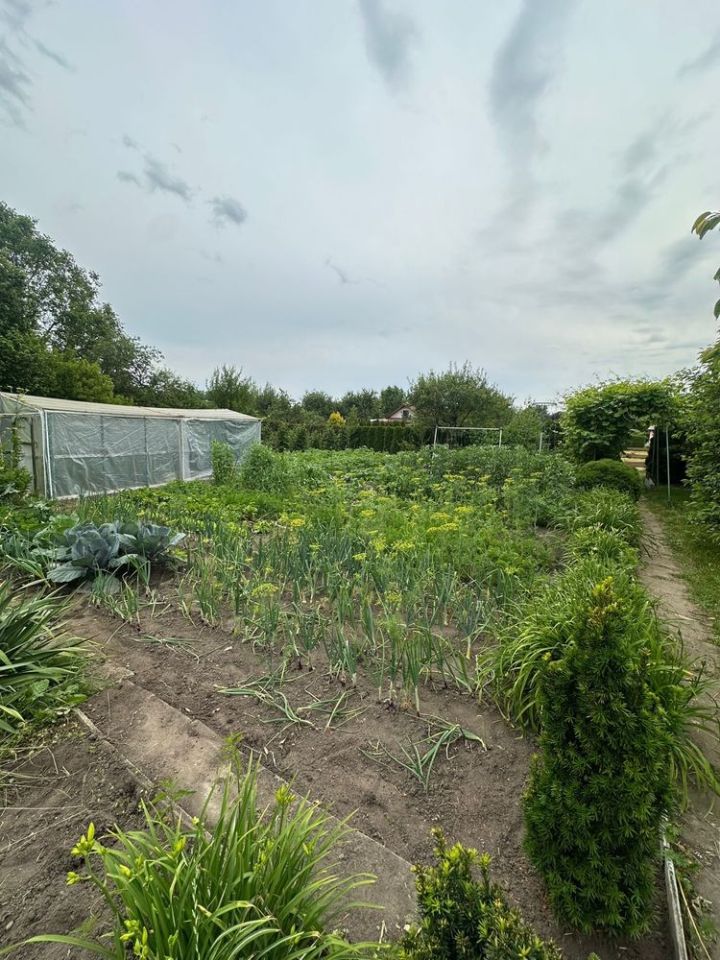 Działka rod Szczecinek. Zdjęcie 8