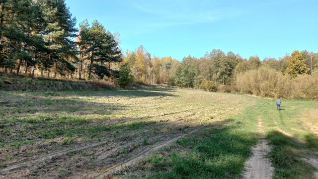 Działka rolno-budowlana Węgiersk. Zdjęcie 1