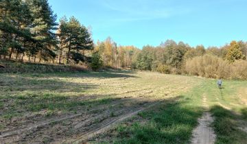 Działka rolno-budowlana Węgiersk