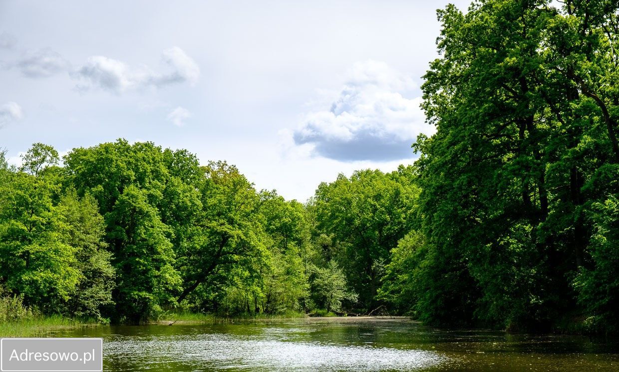 Działka budowlana Kotowice, ul. Ogrodowa. Zdjęcie 9