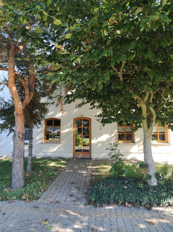 Nieruchomość komercyjna Przybyszów Korzeń. Zdjęcie 3