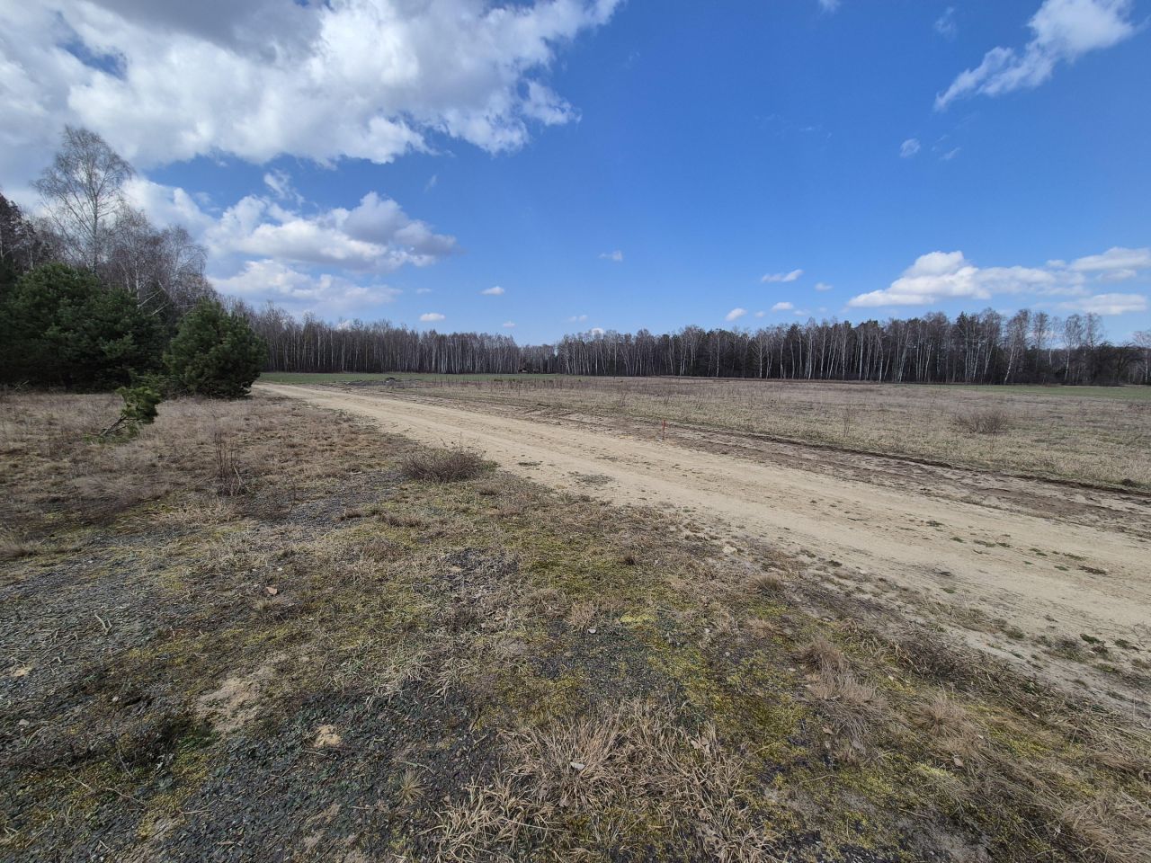 Działka rolno-budowlana Wola Polska. Zdjęcie 2