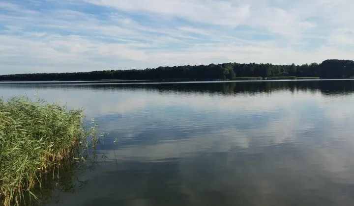 Działka rekreacyjna Słupia