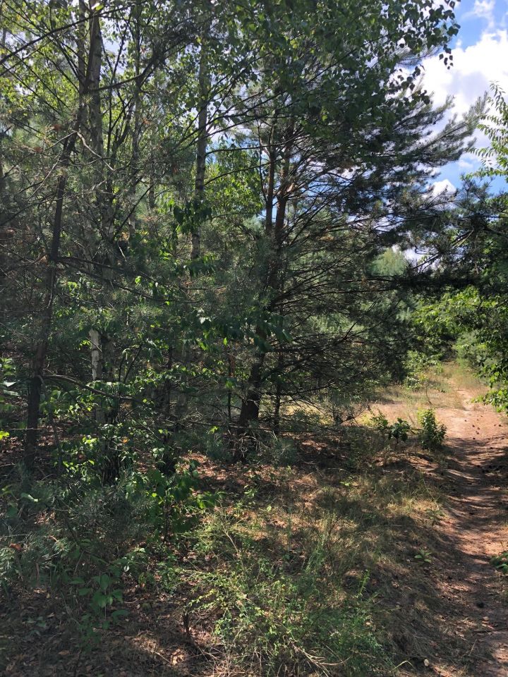 Działka inwestycyjna Nieporęt, ul. Stokrotki. Zdjęcie 7