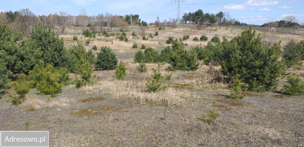 Działka budowlana Krzyżówki. Zdjęcie 5