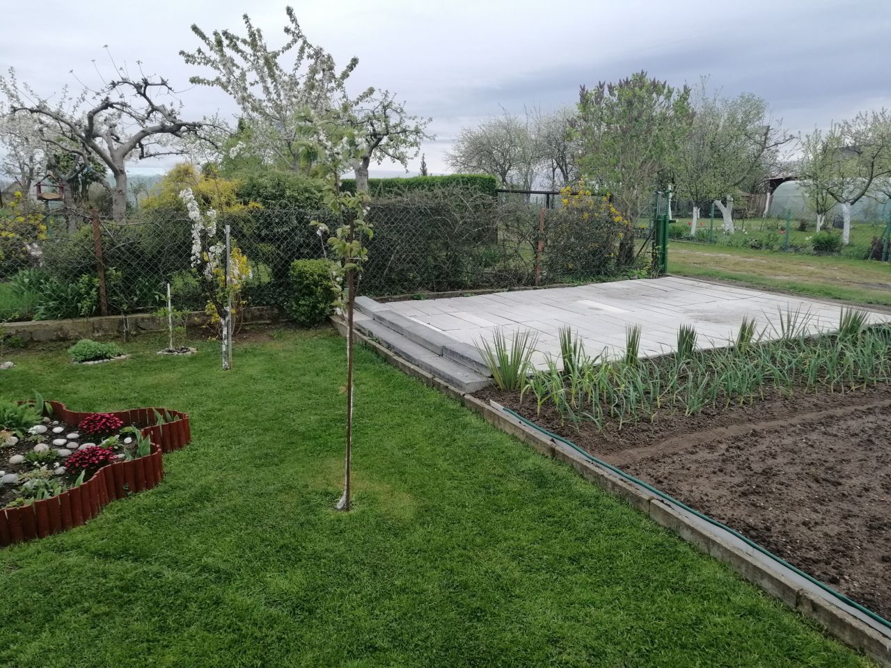 Działka rod Kołobrzeg, ul. Bolesława Krzywoustego. Zdjęcie 17