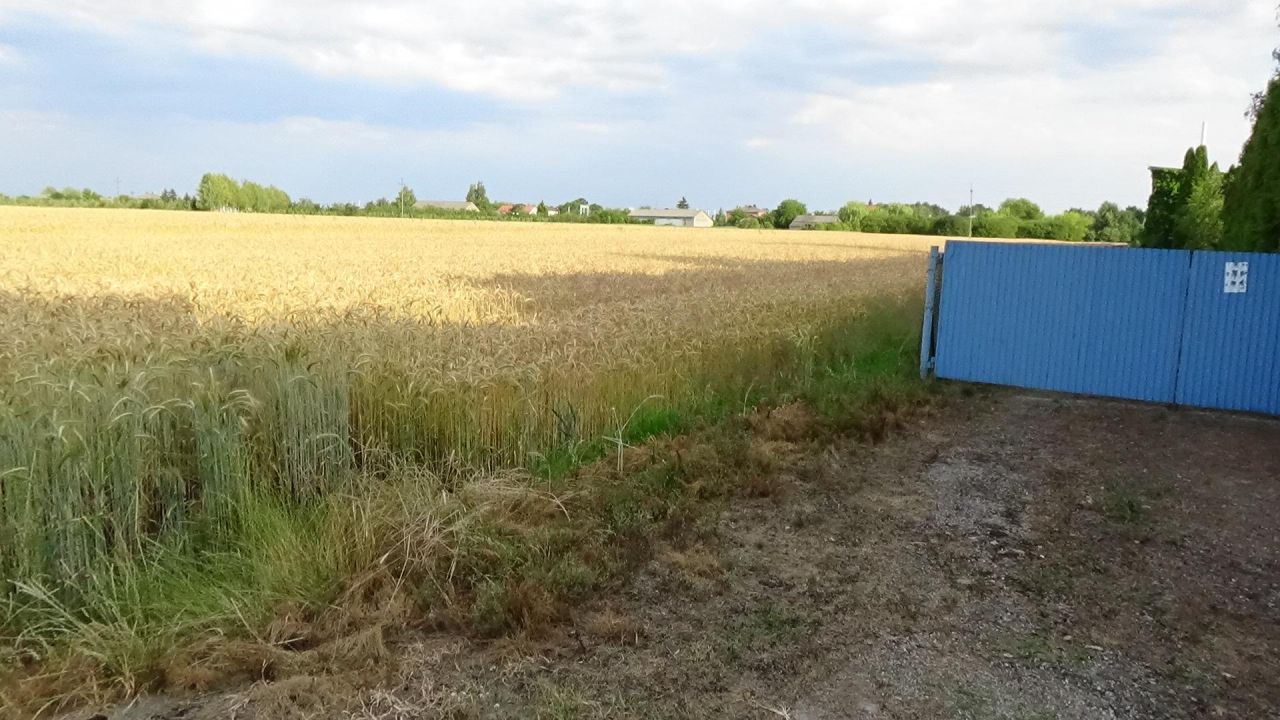 Działka rolno-budowlana Bednary-Kolonia. Zdjęcie 4