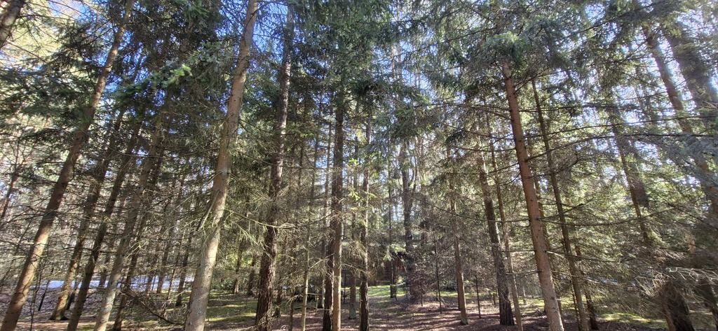 Działka rekreacyjna Osiedle Wilga. Zdjęcie 2