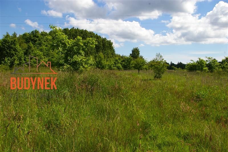 Działka siedliskowa Jeżyce. Zdjęcie 5