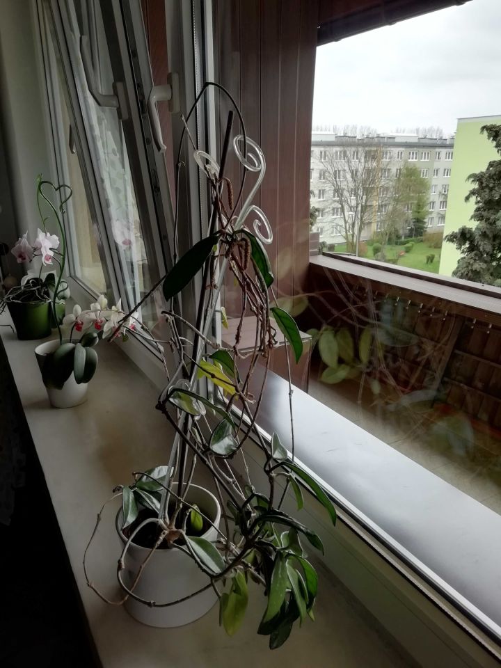 Mieszkanie 2-pokojowe Katowice os. Witosa, ul. Obroki. Zdjęcie 8