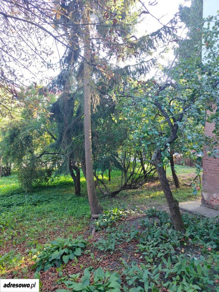 Mieszkanie 2-pokojowe Giżycko, ul. Suwalska. Zdjęcie 12