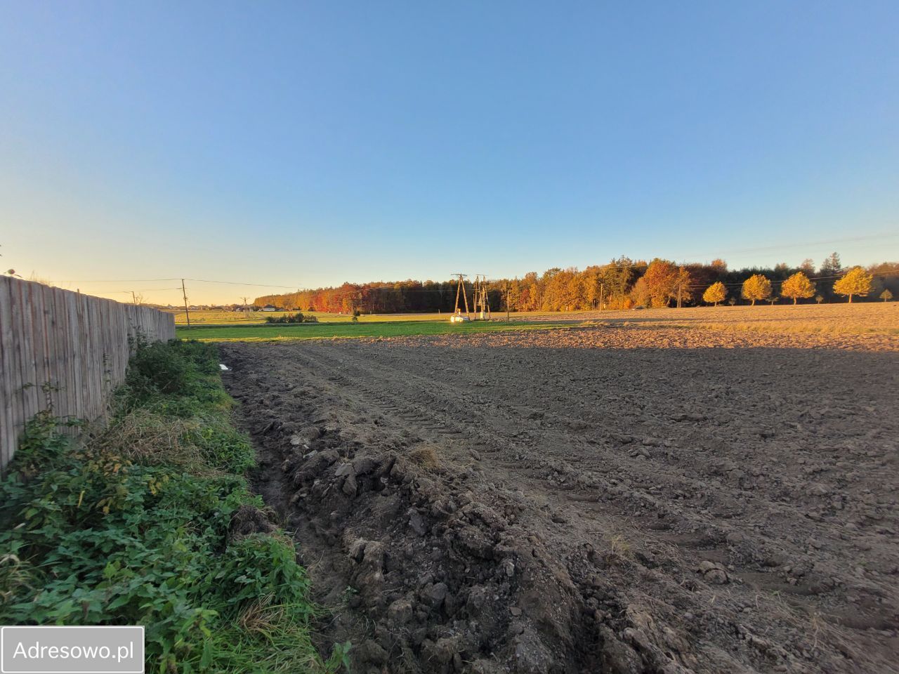 Działka inwestycyjna Podlesie. Zdjęcie 6