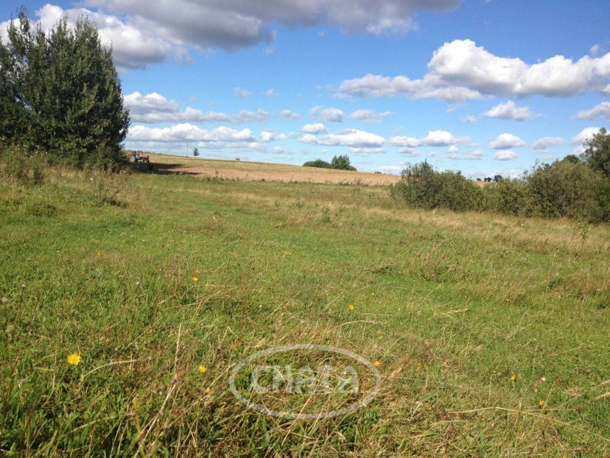 Działka rolna Huta Wielka. Zdjęcie 3