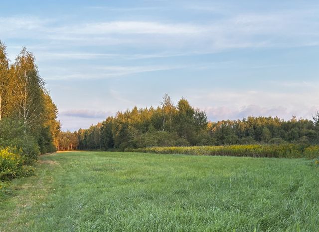Działka rolno-budowlana Rydzów. Zdjęcie 1