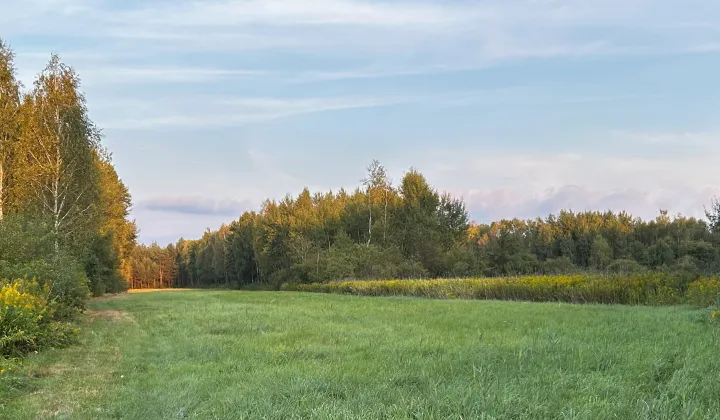Działka rolno-budowlana Rydzów