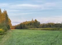 Działka rolno-budowlana Rydzów