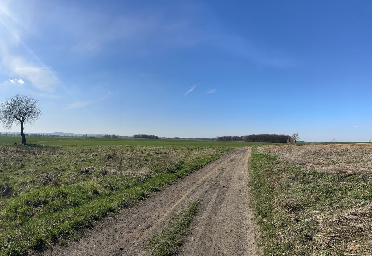 Działka rolna Snowidza. Zdjęcie 9