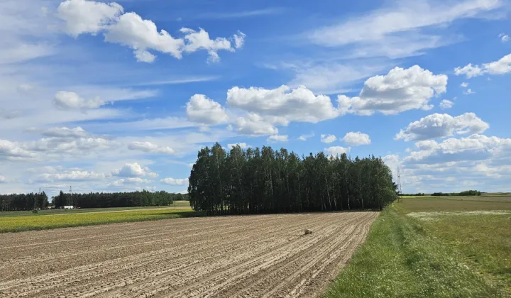 Działka budowlana Czermno