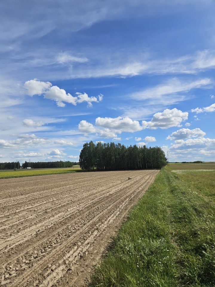 Działka budowlana Czermno. Zdjęcie 1