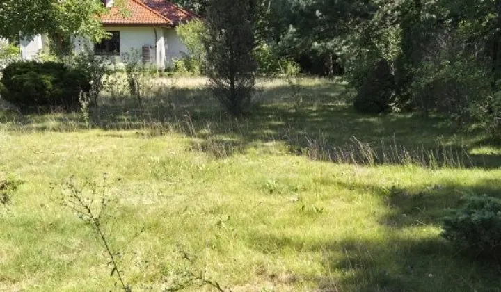 Działka budowlana Warszawa Wawer, ul. Mrówcza