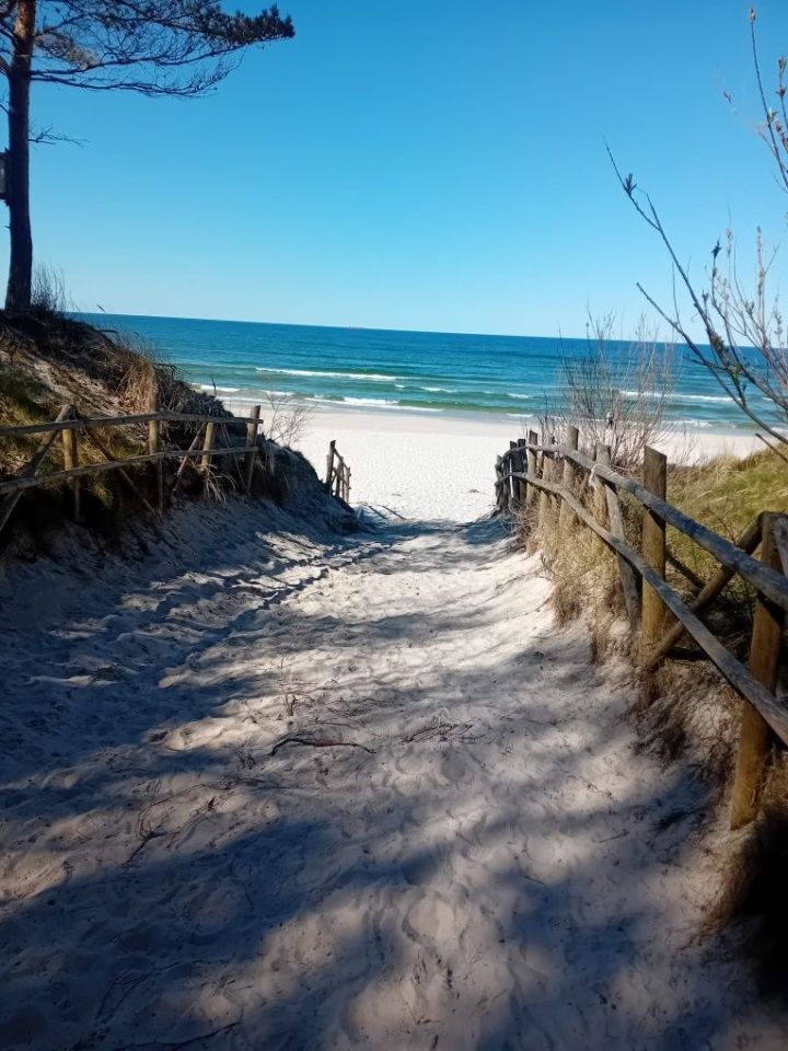 Działka rekreacyjna Karwieńskie Błoto Drugie. Zdjęcie 6