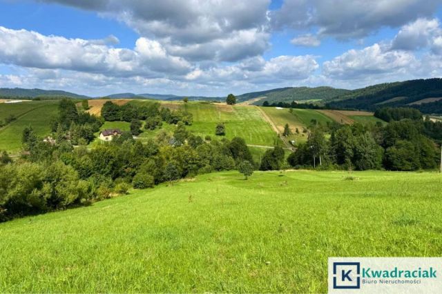 Działka budowlana Hołuczków. Zdjęcie 8