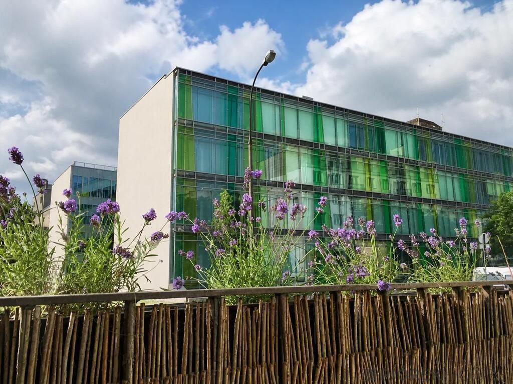 Mieszkanie 1-pokojowe Warszawa Śródmieście, ul. Lipowa. Zdjęcie 4