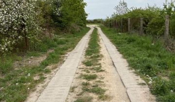 Działka rod Szczecin Bukowo, ul. Górska