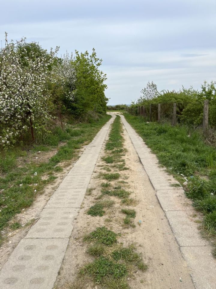 Działka rod Szczecin Bukowo, ul. Górska. Zdjęcie 2