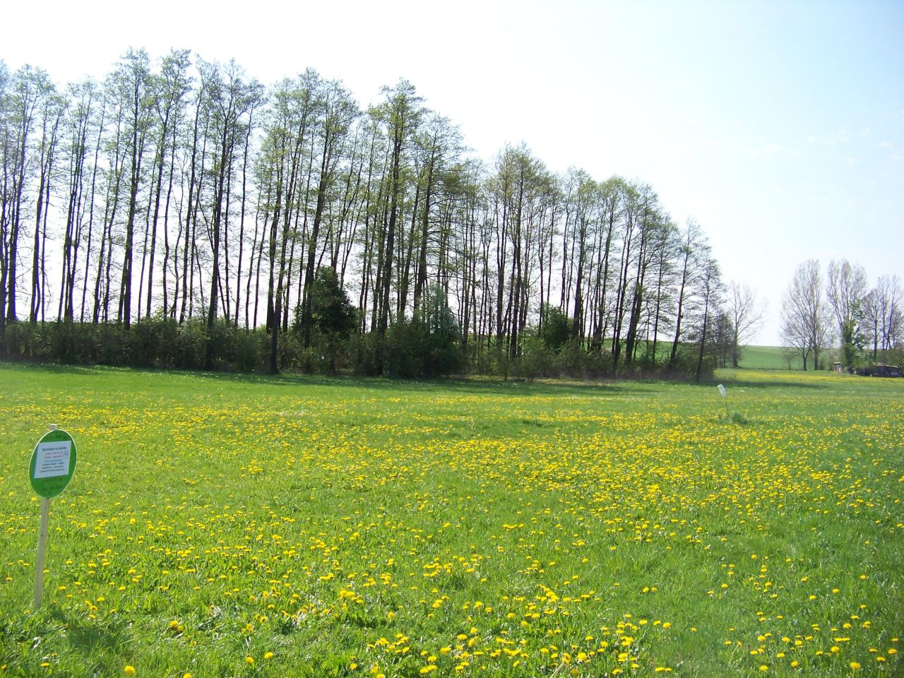 Działka rolna Czaple Górne. Zdjęcie 4