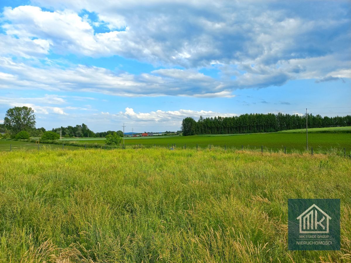 Działka budowlana Dąbrowa. Zdjęcie 3