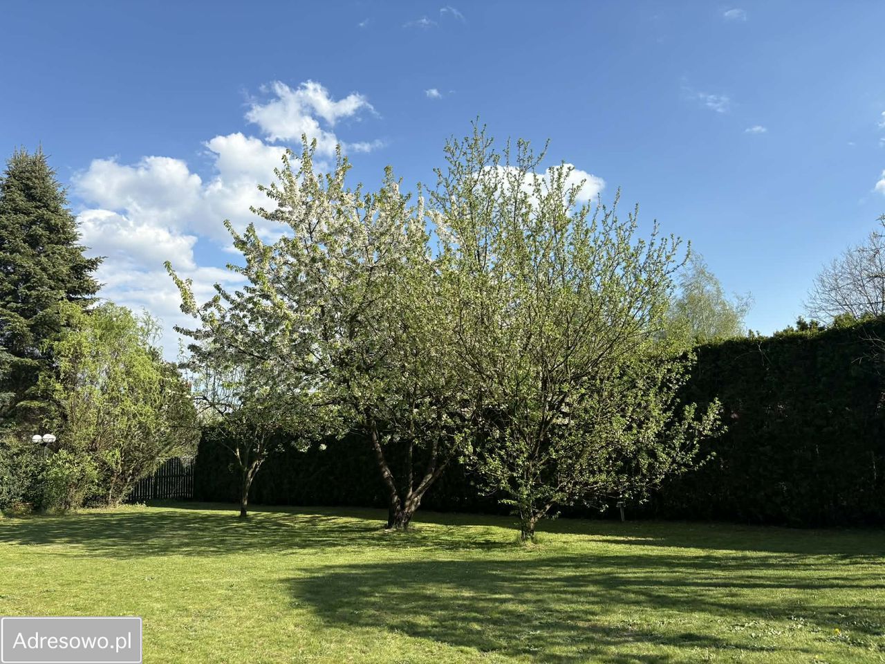 dom wolnostojący, 5 pokoi Mikołów Reta Śmiłowicka. Zdjęcie 6