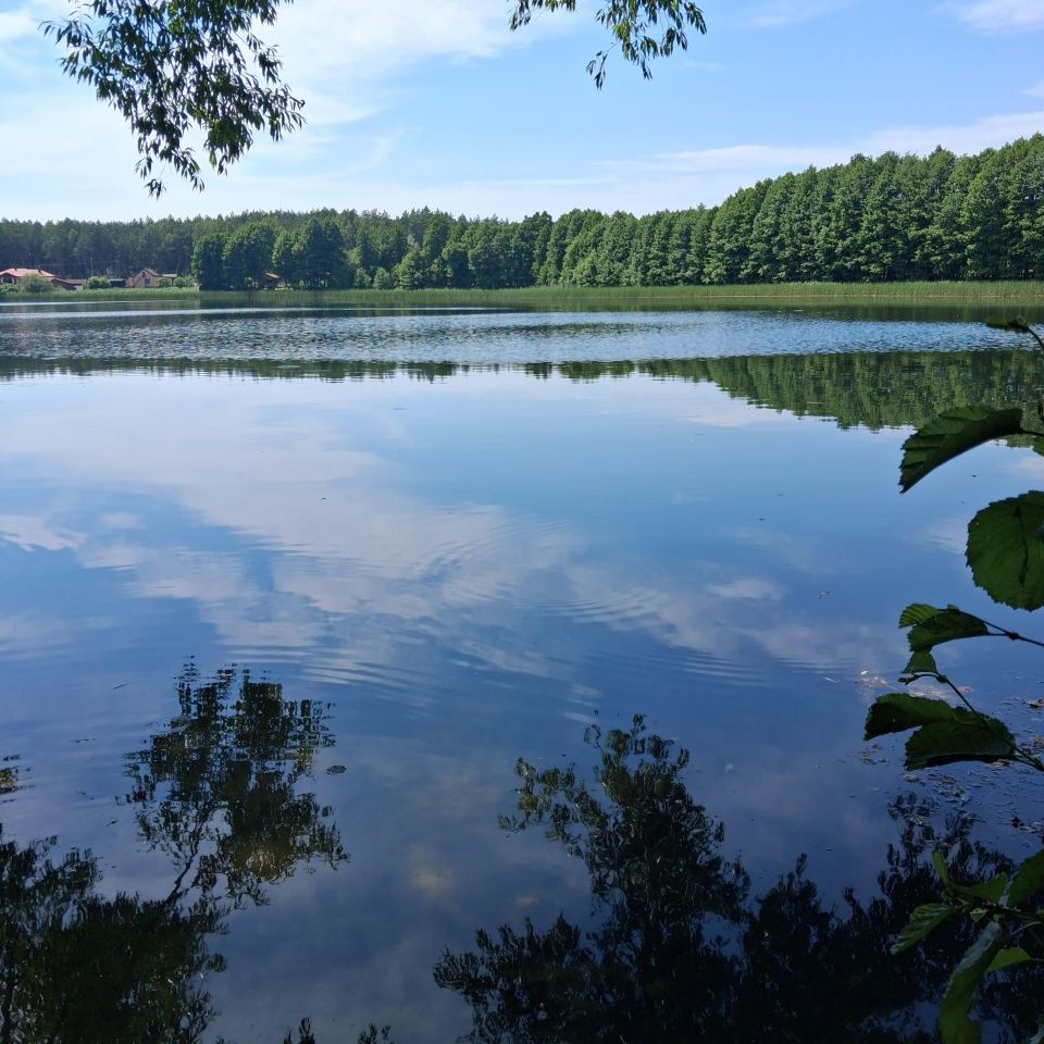 Działka budowlana Stary Sumin. Zdjęcie 2