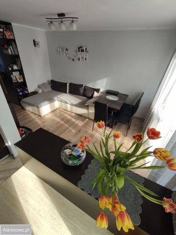 Mieszkanie 3-pokojowe Siedlce, ul. Hozera. Zdjęcie 1