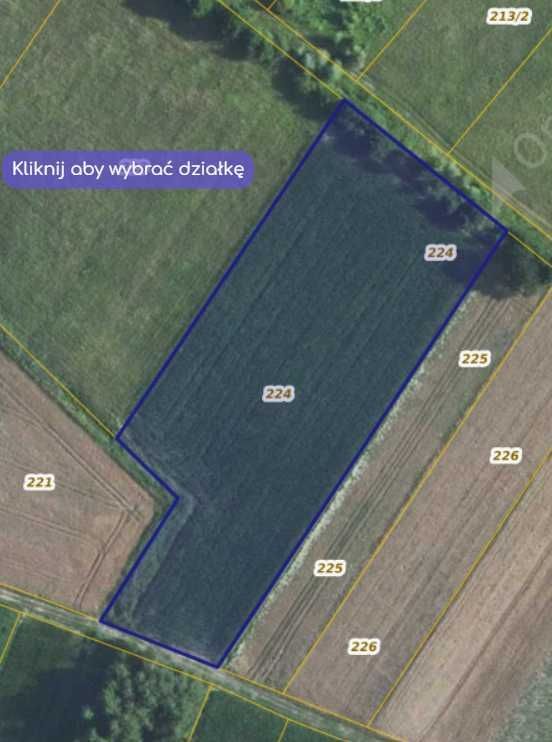 Działka rolna Sokolniki. Zdjęcie 1