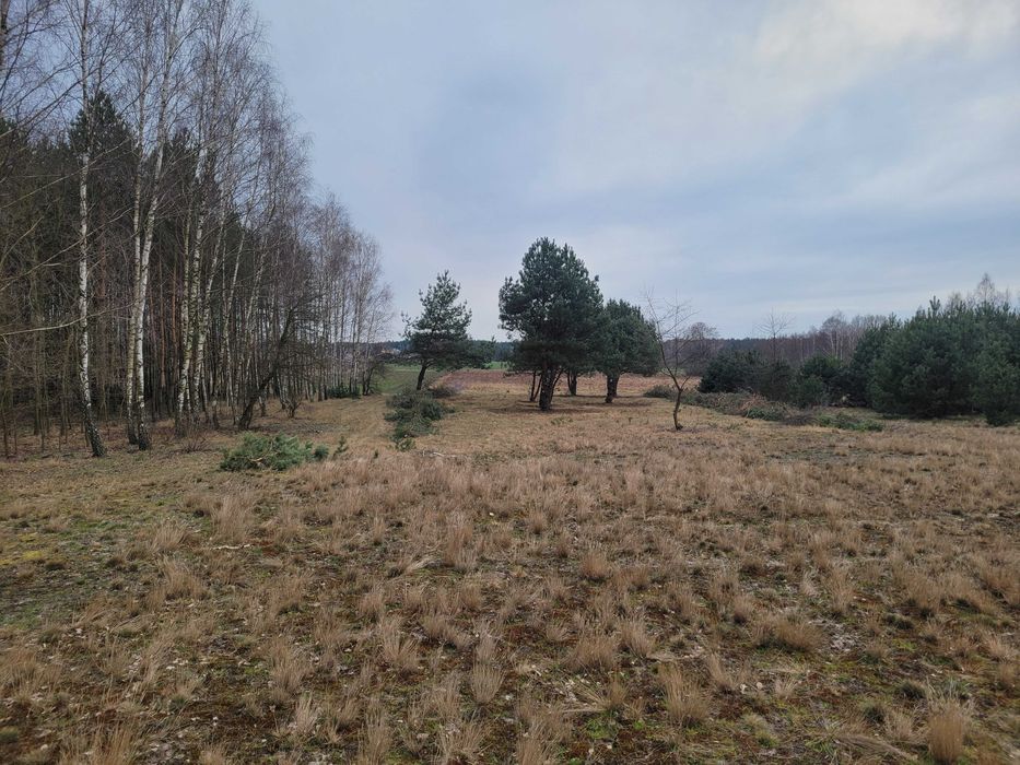 Działka rolno-budowlana Jesionka. Zdjęcie 3