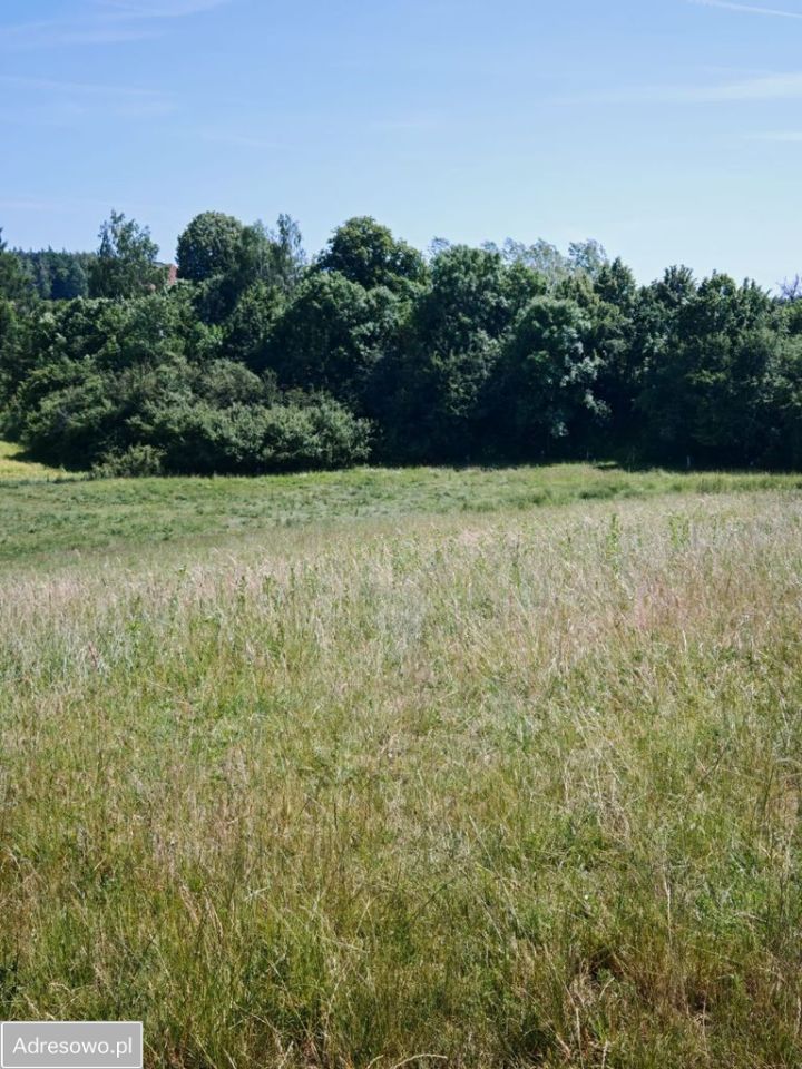 Działka rolna Dąbrówka. Zdjęcie 9