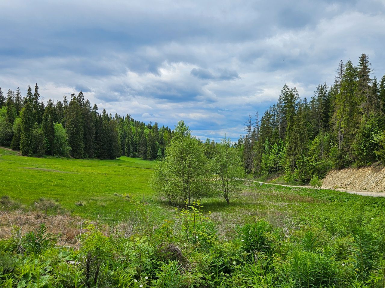 Działka rolno-budowlana Maruszyna. Zdjęcie 14