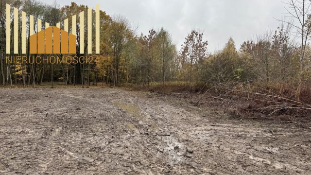 Działka budowlana Iłówiec. Zdjęcie 8