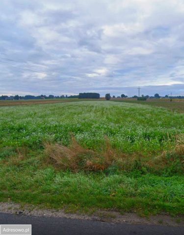 Działka rolna Siedliska. Zdjęcie 1