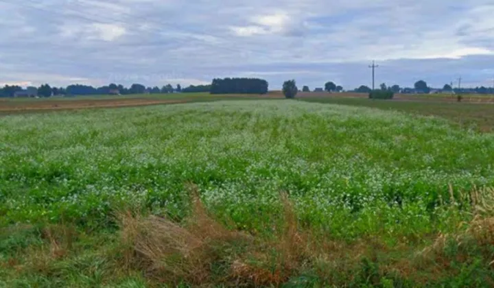 Działka rolna Siedliska
