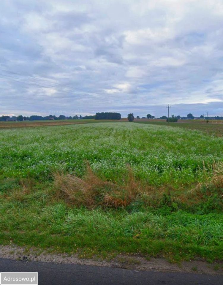 Działka rolna Siedliska. Zdjęcie 1