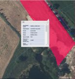 Działka rolna Dobra Wola. Zdjęcie 3