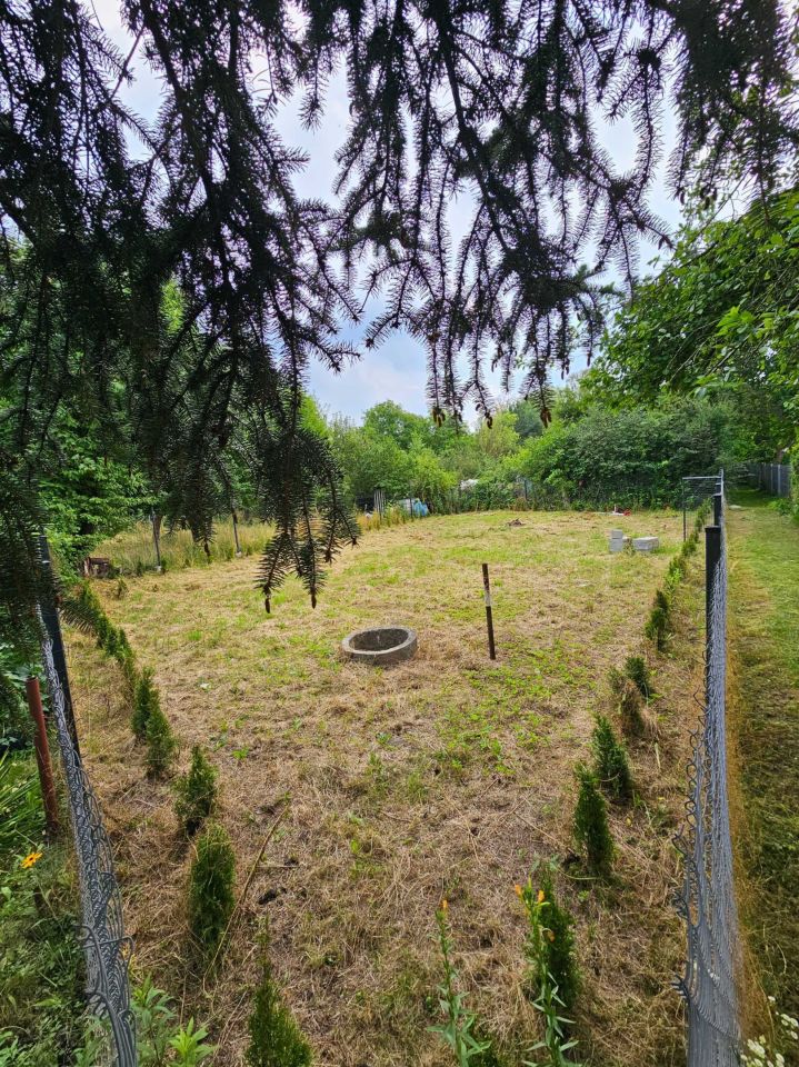 Działka rod Gliwice Zatorze. Zdjęcie 5