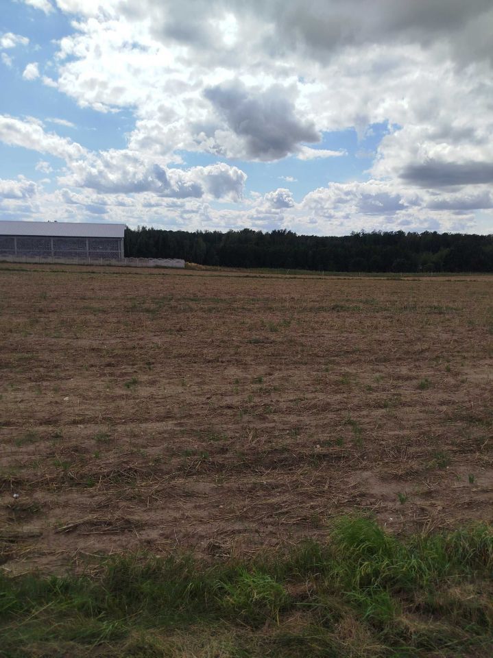 Działka rolno-budowlana Babczów. Zdjęcie 3
