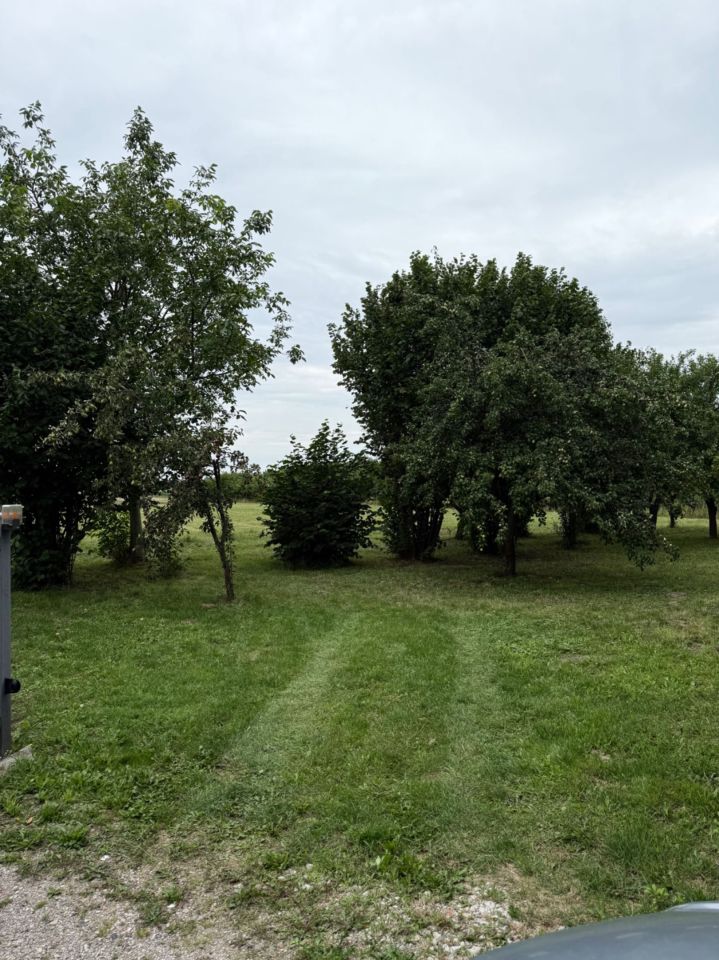 Działka rolno-budowlana Witaniów. Zdjęcie 6